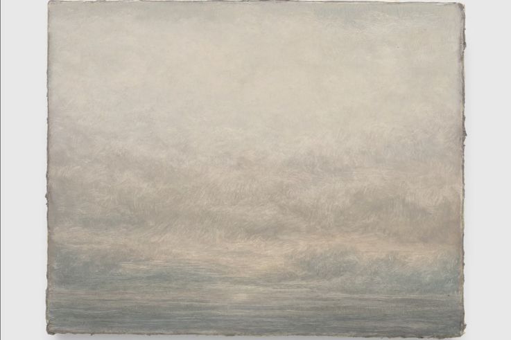 Qu’importe le paysage : l'exposition de Lucas Arruda au Musée d'Orsay