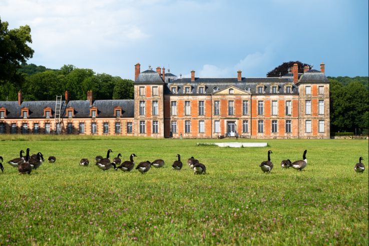 Exposition de Lélia Demoisy au Domaine de Chamarande : Récits de Forêts