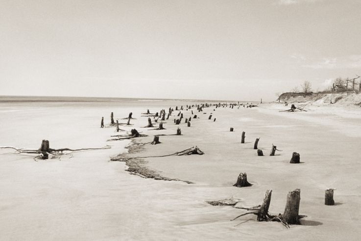 Corps littoral : l'exposition de Camille Guichard à la galerie Rachel Hardouin