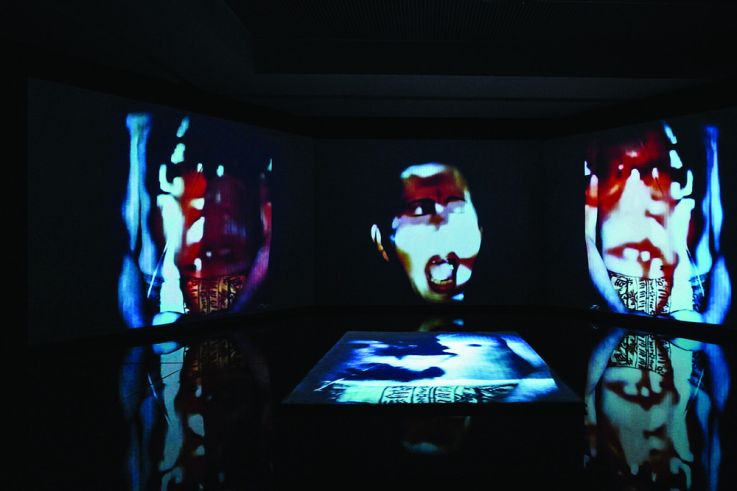 La Rébellion des Morts, la rétrospective Nalini Malani au Centre Pompidou