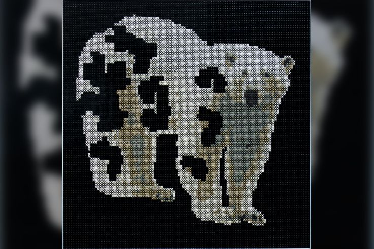 Espèces Menacées, l’exposition à la galerie Accueil de Montreuil