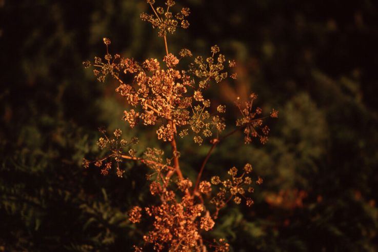 Delacroix et la Boixe, la conférence au Musée Delacroix