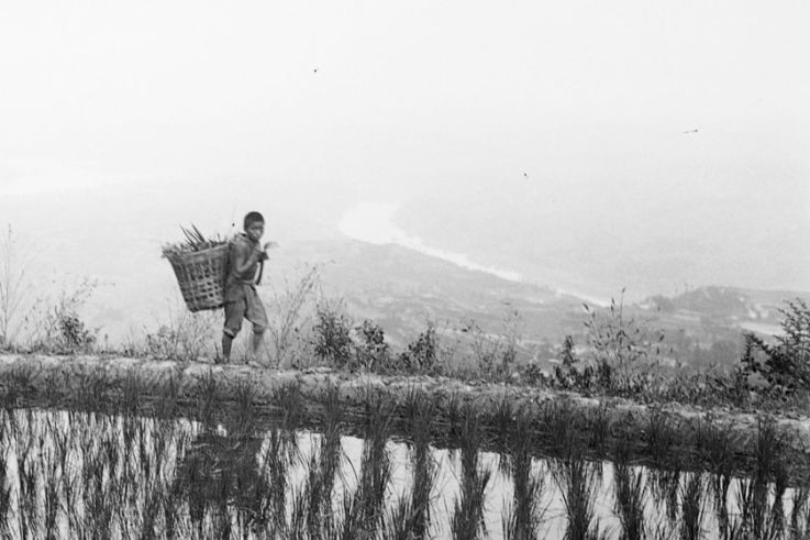Terres de riz, l'exposition au musée Guimet