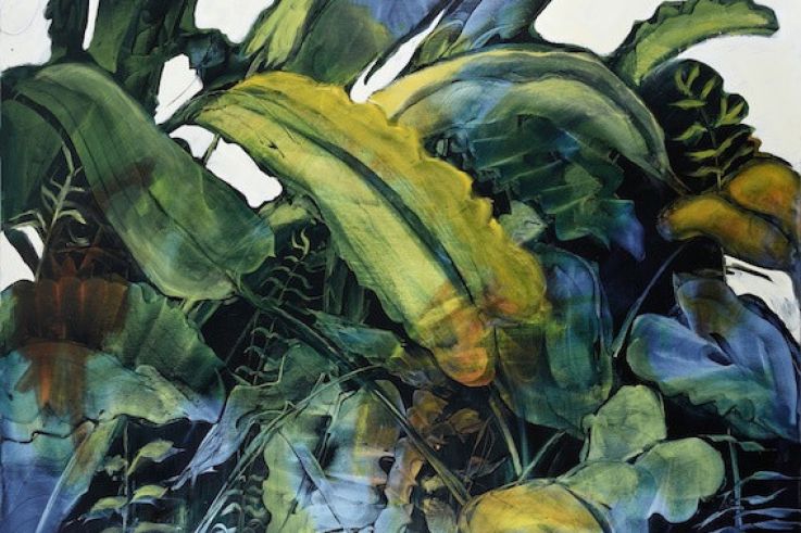 Sublimer la nature, l'exposition à la galerie Pierre-Alain Challier