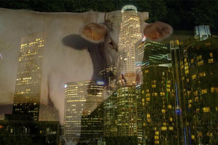 Exposition Laure Prouvost au Studio des Acacias