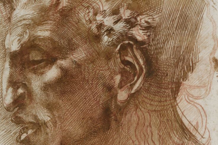 Dessins italiens de la collection Mariette, l'exposition au Musée du Louvre