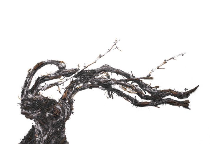 Shared Roots, l'exposition de Vik Muniz au Palais Brongniart