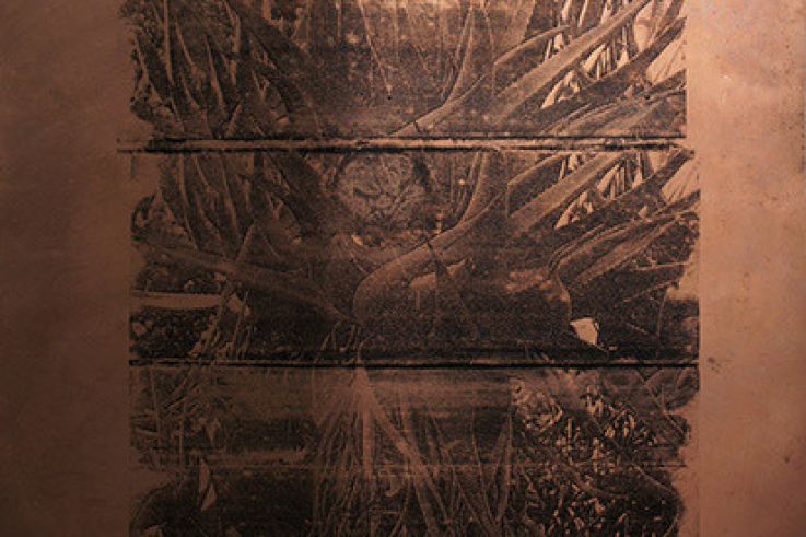 Exposition Eve Pietruschi à l'Hôtel Napoléon