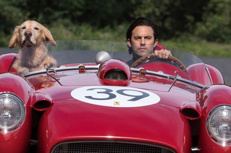 The Art of Racing in the Rain : bande-annonce