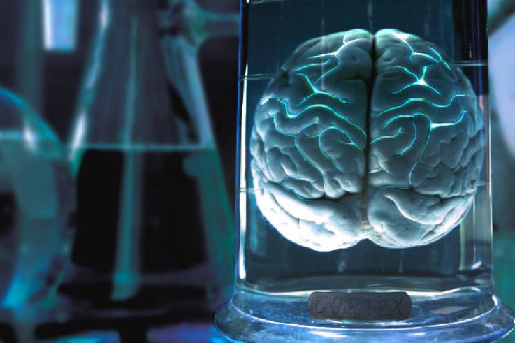 Opération Cortex, l'escape game de l'INSERM à l'Institut de psychiatrie et de neurosciences