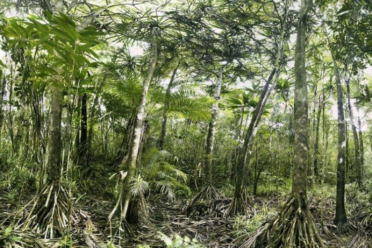 Grandeur Nature, l'exposition photo sur le Toit de la Grande Arche