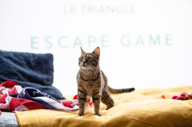 Le Triangle, l'enseigne d'escape game immersif à deux pas d'Opéra