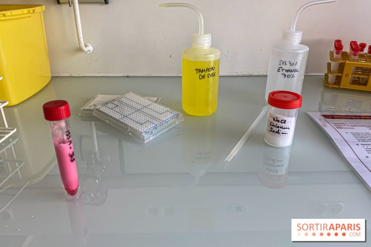 Escape Gènes, l'escape game qui sensibilise à la recherche génétique à l'Institut Imagine