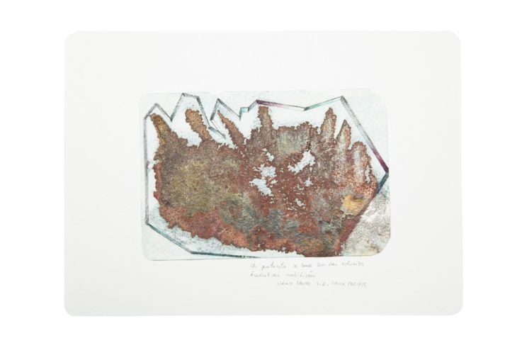 Exposition Noémie Sauve au Drawing Lab : Admiratio