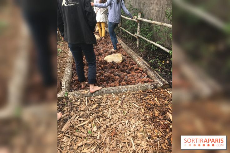 Le Parcours Biodiversité du Parc Zoologique de Paris