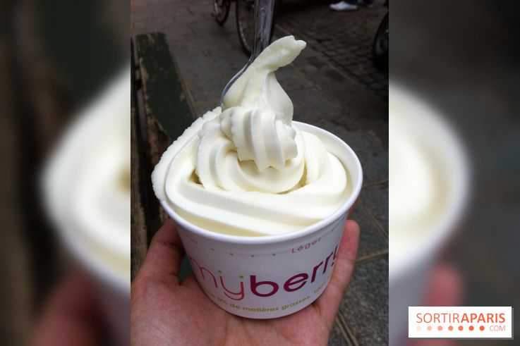 My Berry, Glace au yaourt