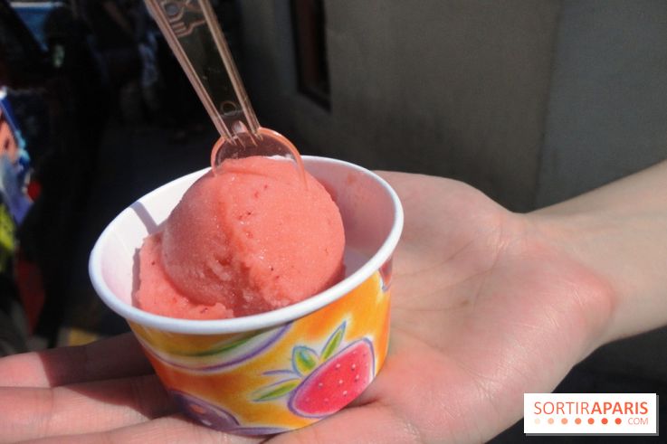 Berthillon, Sorbet Framboise