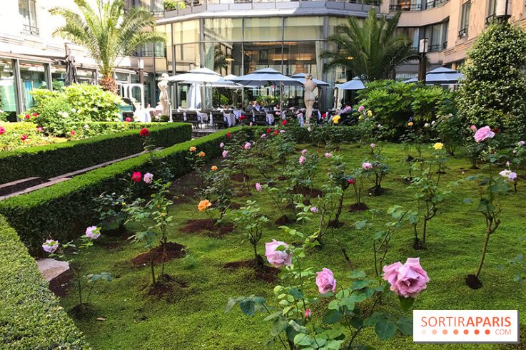 Le menu cajun du Safran à l'Hôtel du Collectionneur