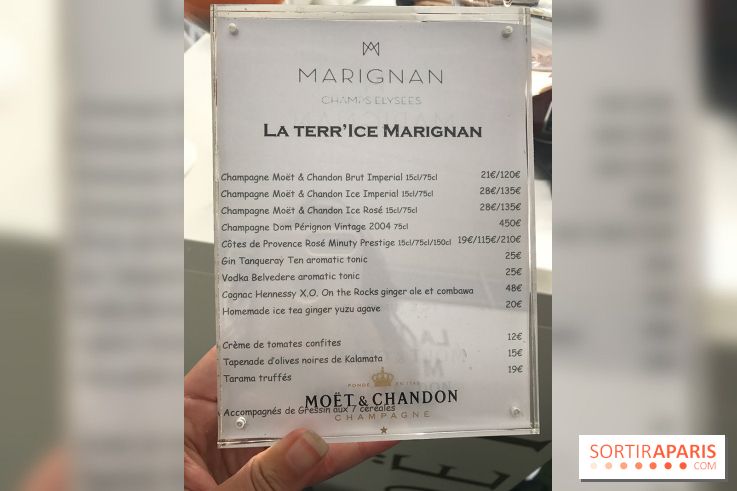 Le rooftop de l'Hôtel Marignan