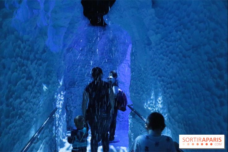 Les Manchots de l'Aquarium Sea Life