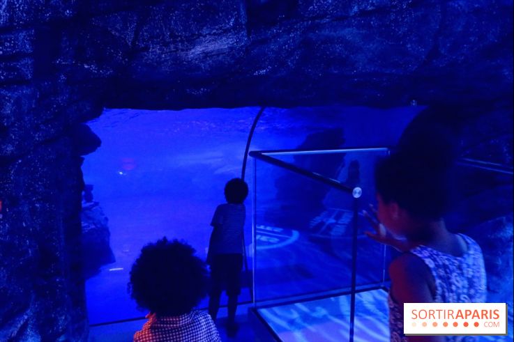 Les Manchots de l'Aquarium Sea Life