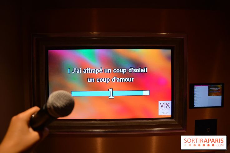 VIK Karaoké Saint Michel