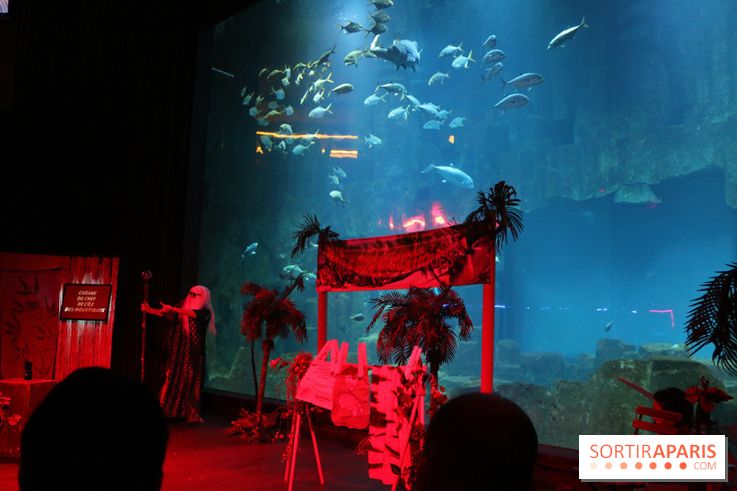 Les As de la Jungle à l'Aquarium de Paris