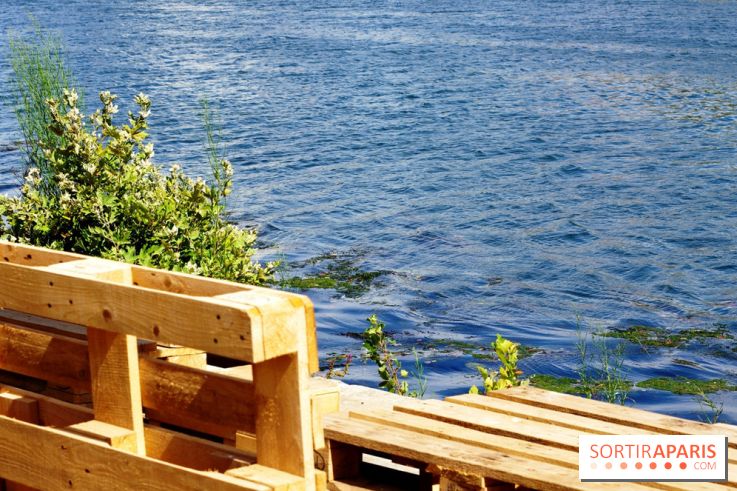 Rosa à l'Ouest : Rosa Bonheur sur les Quais d'Asnières-sur-Seine