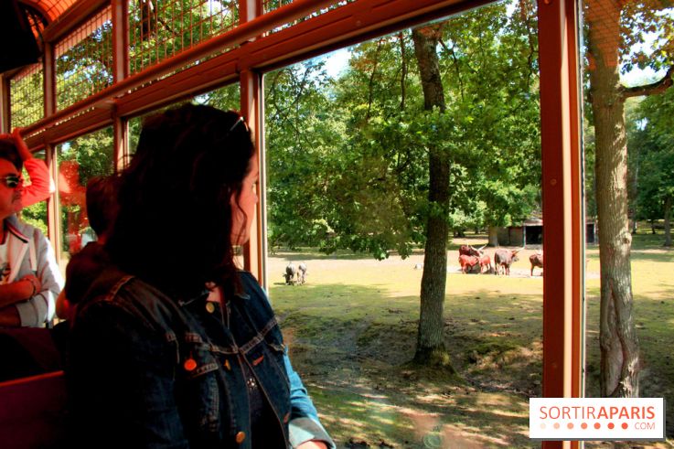 Camion Safari : une visite guidée dans les coulisses de Thoiry