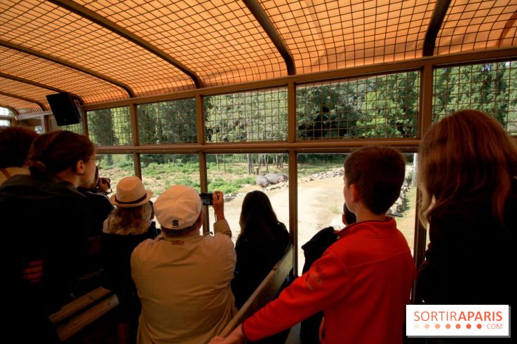 Camion Safari : une visite guidée dans les coulisses de Thoiry
