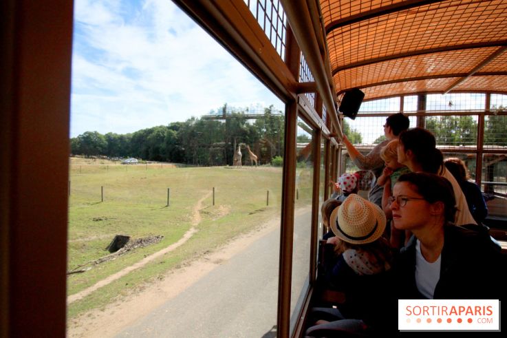 Camion Safari : une visite guidée dans les coulisses de Thoiry