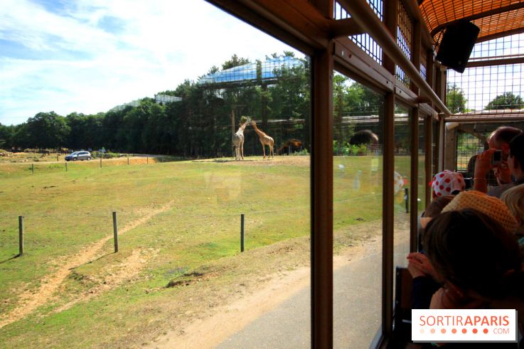 Camion Safari : une visite guidée dans les coulisses de Thoiry