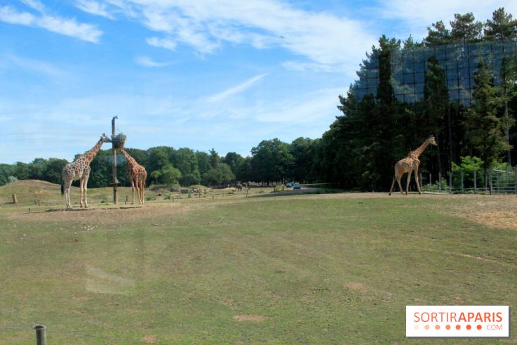 Camion Safari : une visite guidée dans les coulisses de Thoiry