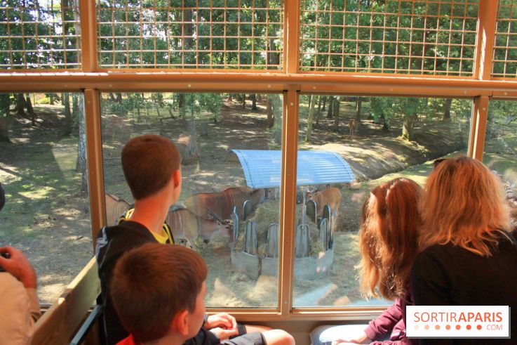 Camion Safari : une visite guidée dans les coulisses de Thoiry