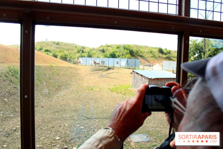 Camion Safari : une visite guidée dans les coulisses de Thoiry