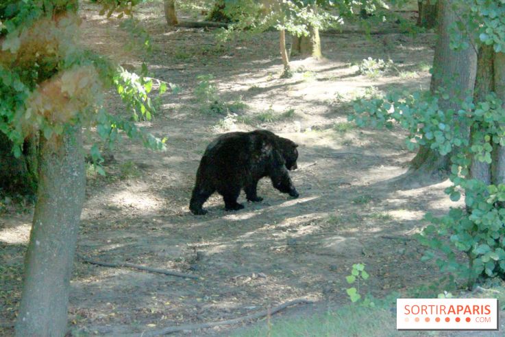 Camion Safari : une visite guidée dans les coulisses de Thoiry