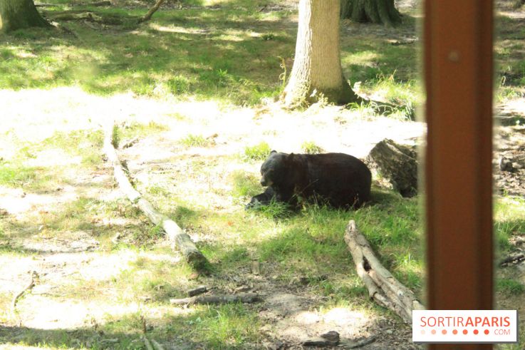 Camion Safari : une visite guidée dans les coulisses de Thoiry