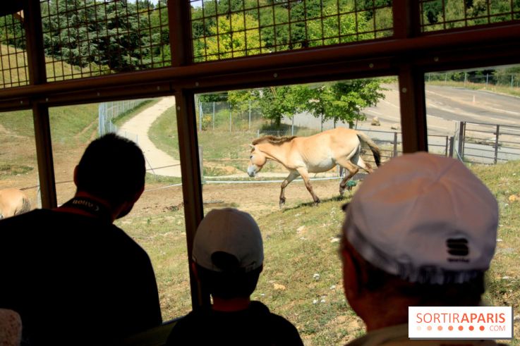 Camion Safari : une visite guidée dans les coulisses de Thoiry