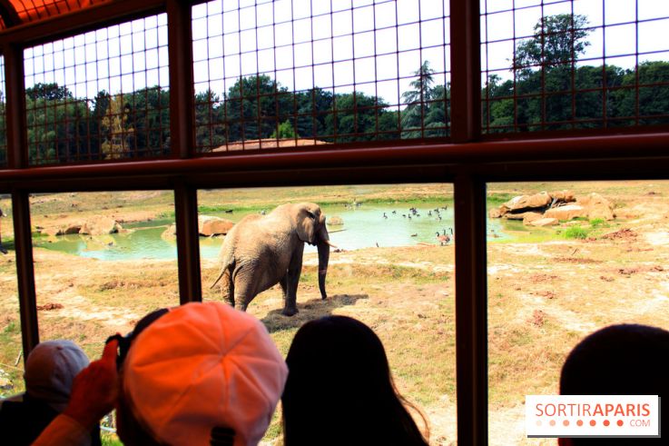 Camion Safari : une visite guidée dans les coulisses de Thoiry