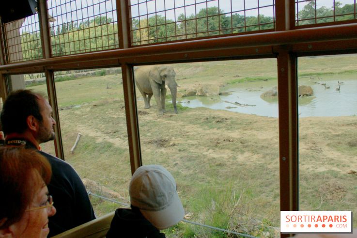 Camion Safari : une visite guidée dans les coulisses de Thoiry