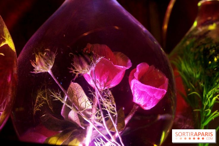 No Entry : le bar speakeasy de Pink Mamma