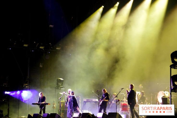 Rock En Seine 2017 : PJ Harvey