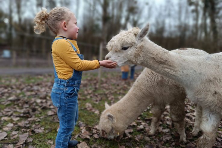 Malowe Nature, ferme en permaculture et étangs de pêche : nouveautés 2024