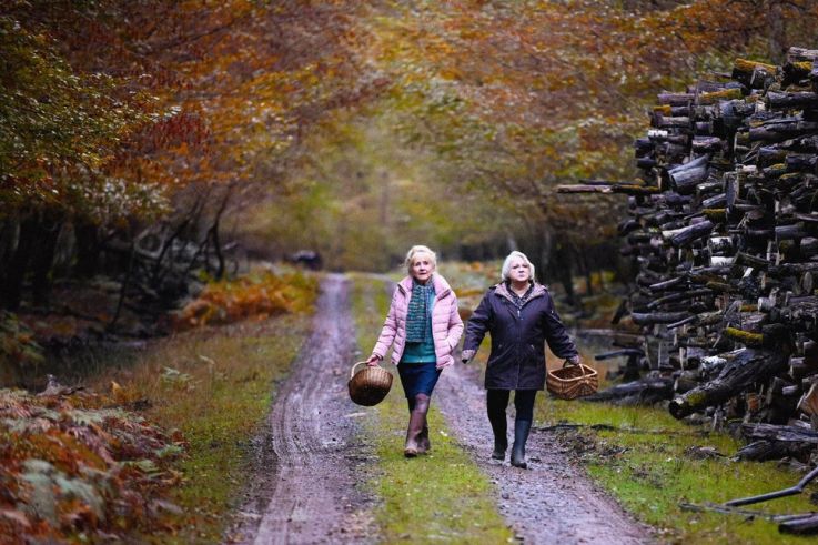 Quand vient l'automne de François Ozon avec Josiane Balasko et Ludivine Sagnier