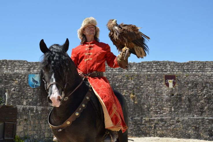 Les Aigles des Remparts de Provins, le spectacle de fauconnerie dans la cité médiévale