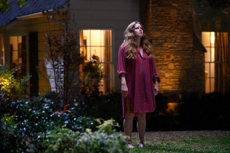 Nightbitch : Amy Adams métamorphosée dans une comédie horrifique sur Disney+