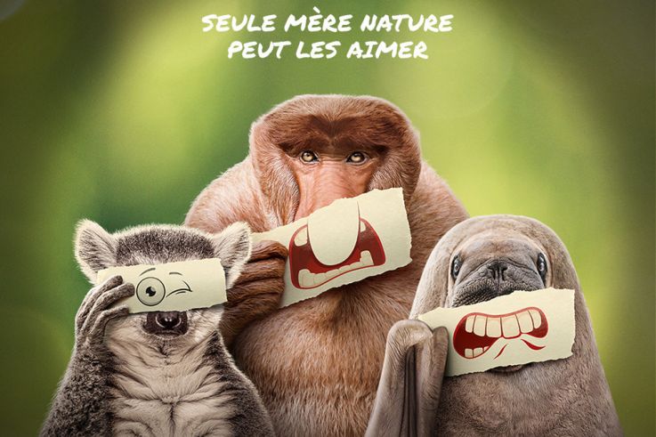 Les outsiders du monde animal : Ryan Reynolds raconte les marginaux de la nature