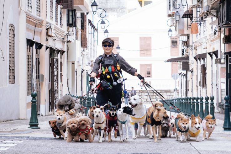 The Shadow’s Edge : Jackie Chan dans un thriller d’action