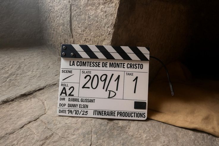 La Comtesse de Monte-Cristo : Audrey Fleurot dans la nouvelle mini-série inspirée de Dumas