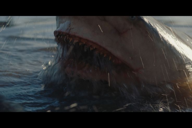 Fear Below : un thriller aquatique australien sur Paramount+